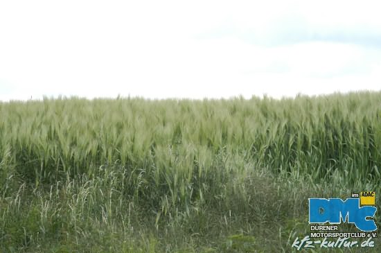 dueren_dmc_050606_997