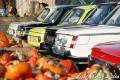 BMW_Herbstjagd_06_1431